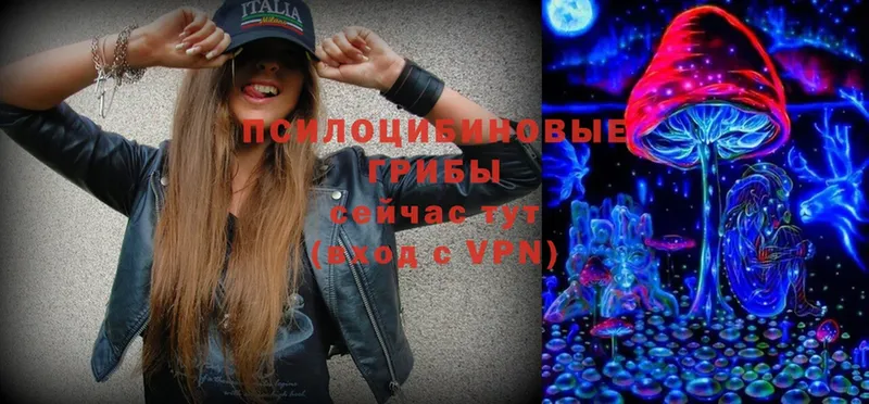 ОМГ ОМГ tor  Тюмень  Галлюциногенные грибы Magic Shrooms 